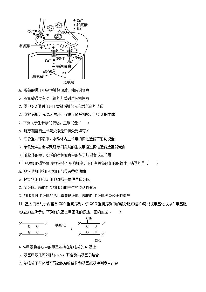海南省海口市第一中学2023-2024学年高三年级下学期四月月考生物试题B卷(原卷版)第3页