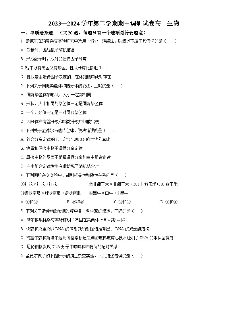 江苏省宿迁市泗阳县泗阳中学2023-2024学年高一下学期期中考试生物试题(原卷版)第1页