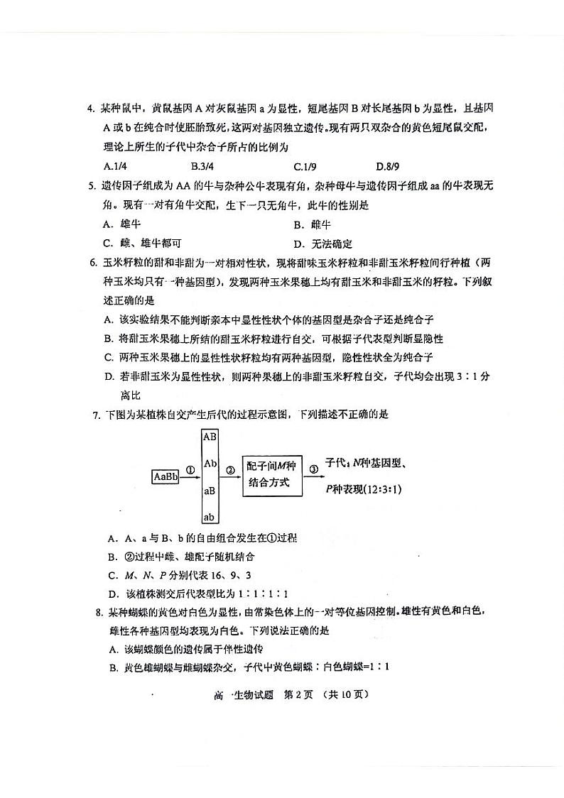 2024泰安肥城高一下学期4月期中考试生物PDF版含答案第2页
