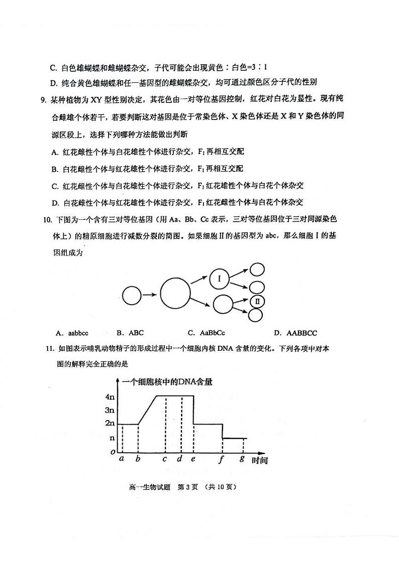 2024泰安肥城高一下学期4月期中考试生物PDF版含答案第3页