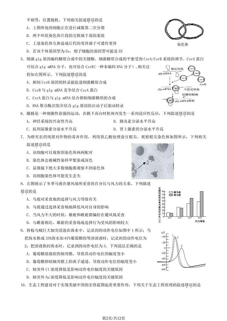 2024北京延庆高三下学期3月月考生物试卷及答案(1)第2页