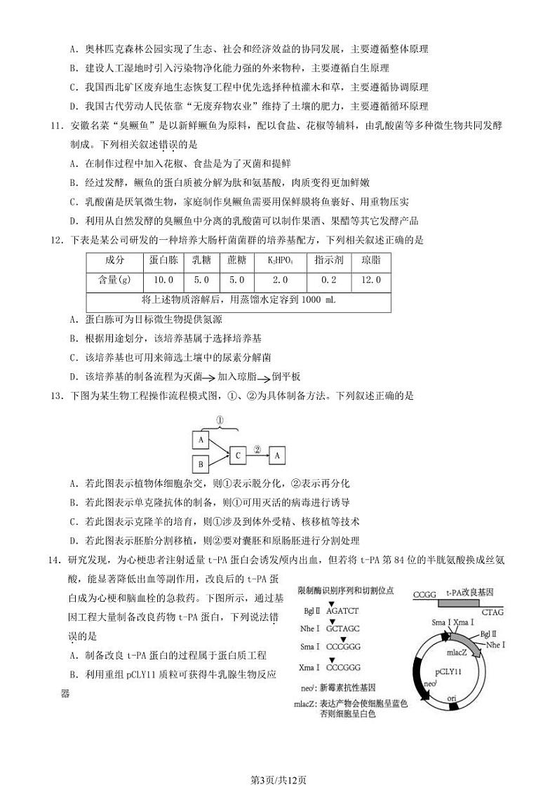 2024北京延庆高三下学期3月月考生物试卷及答案(1)第3页