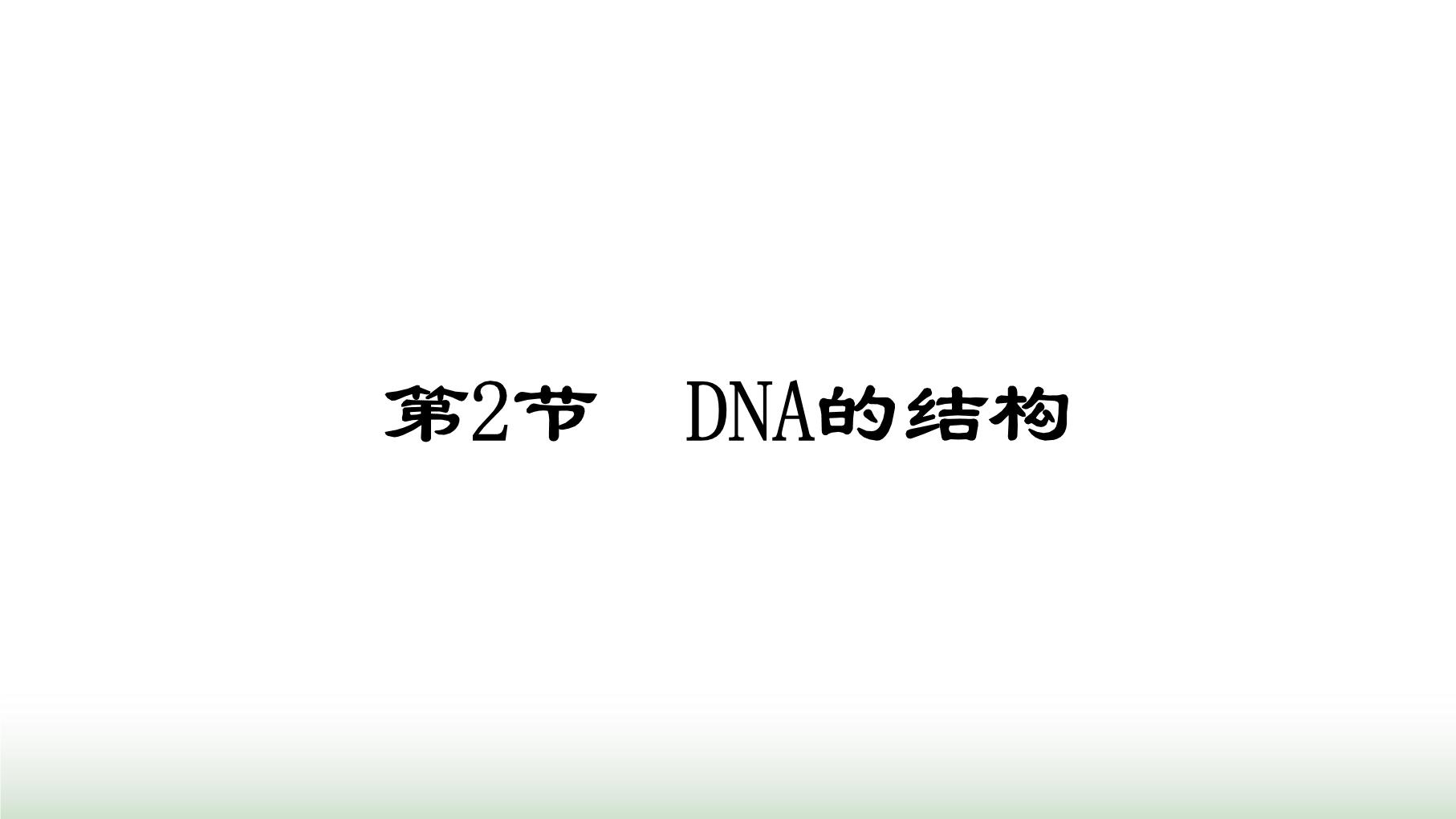 高中生物人教版 (2019)必修2《遗传与进化》第2节 DNA的结构示范课ppt课件