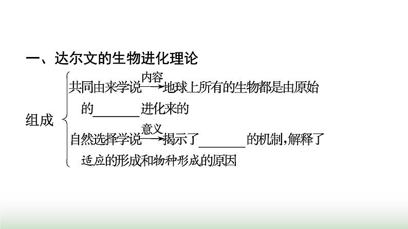 人教版高中生物必修二第6章生物的进化第1节生物有共同祖先的证据课件第4页