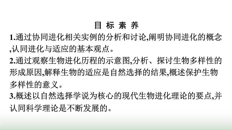 人教版高中生物必修二第6章生物的进化第4节协同进化与生物多样性的形成课件第2页