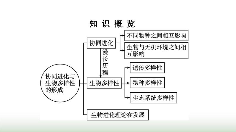 人教版高中生物必修二第6章生物的进化第4节协同进化与生物多样性的形成课件第3页