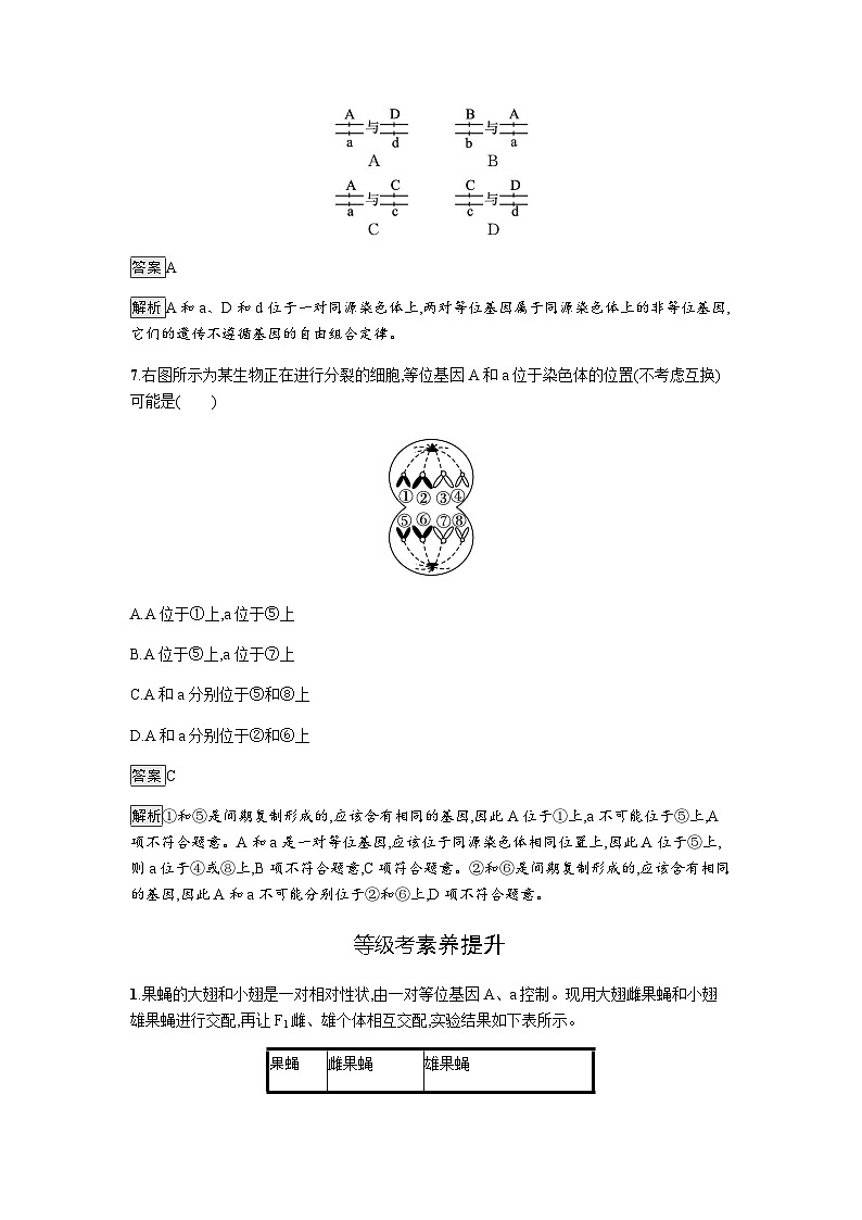 人教版高中生物必修二第2章基因和染色体的关系第2节基因在染色体上练习含答案第3页