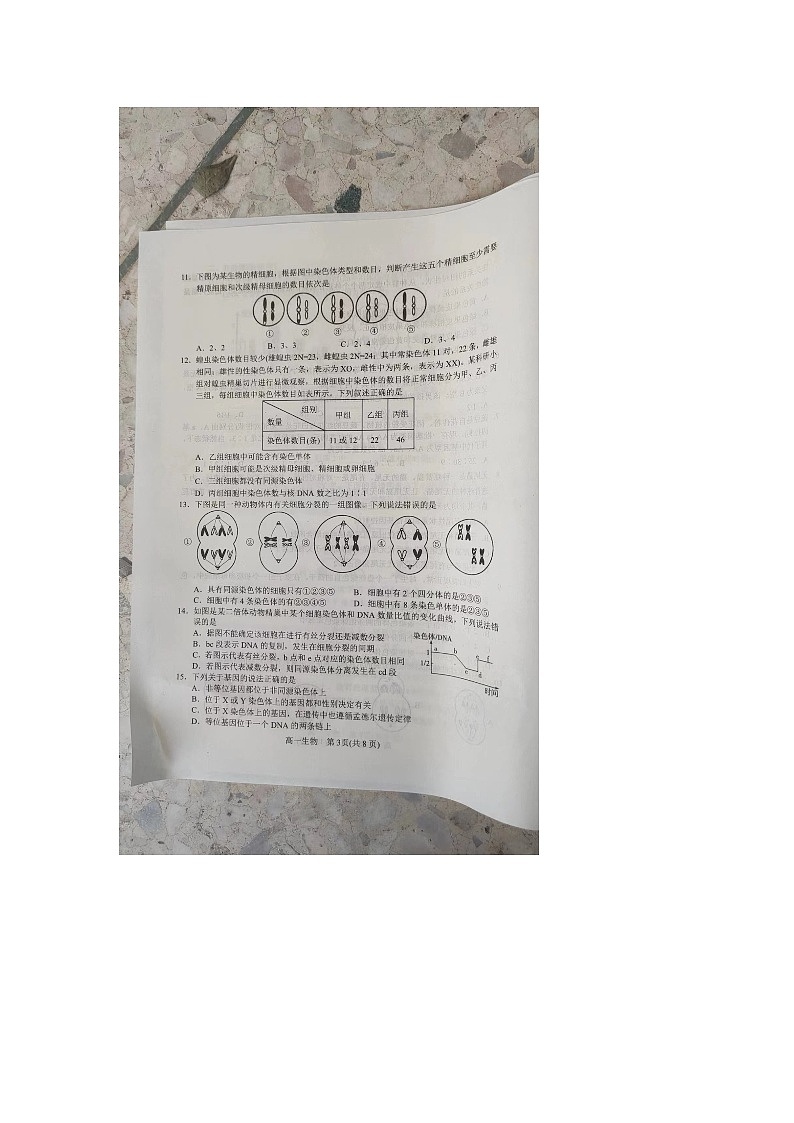 河南省南阳市2023-2024学年高一下学期4月期中生物试题第3页