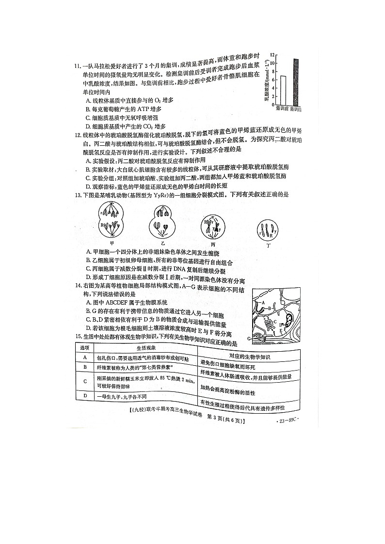 2023届福建省龙岩市一级校联盟高三上学期期中生物考试题第3页