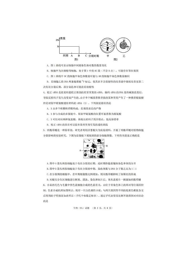 2024届雅礼中学高三下学期3月综合自主测试生物试题第2页