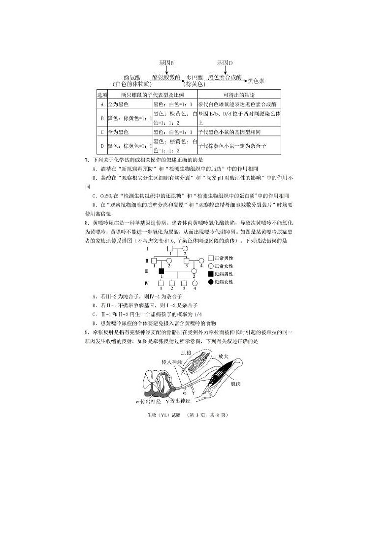 2024届雅礼中学高三下学期3月综合自主测试生物试题第3页