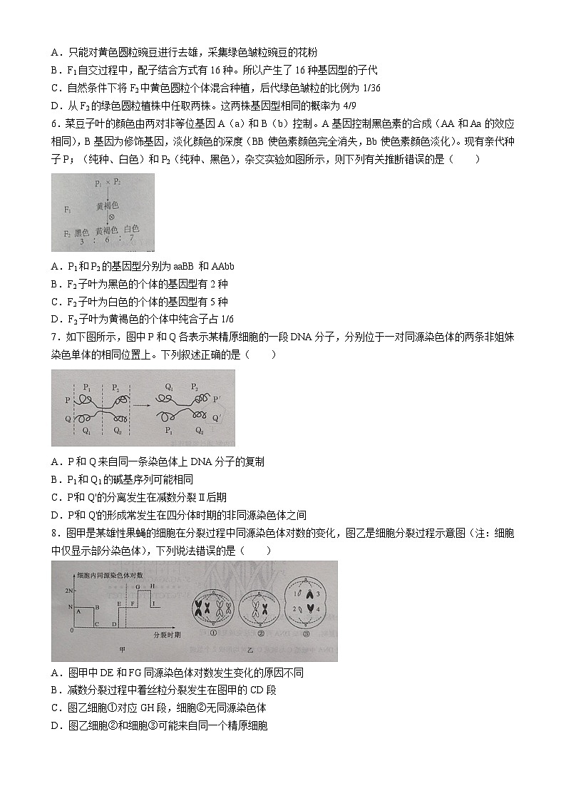 山东省枣庄市三中2023-2024学年高一下学期期中质量检测考试生物试题02