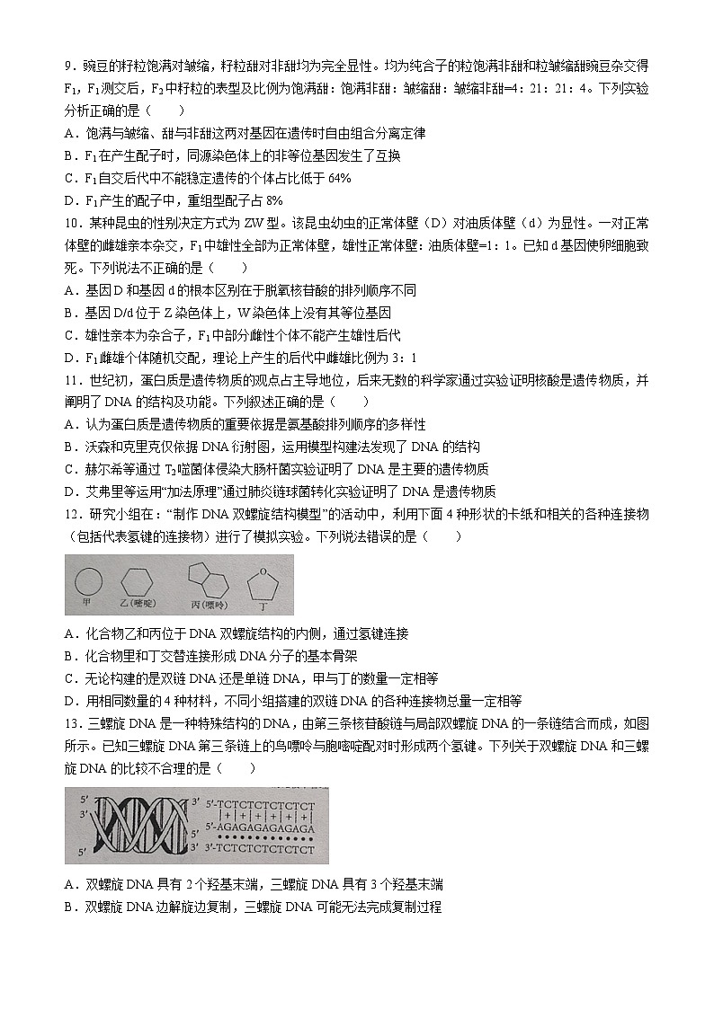 山东省枣庄市三中2023-2024学年高一下学期期中质量检测考试生物试题03