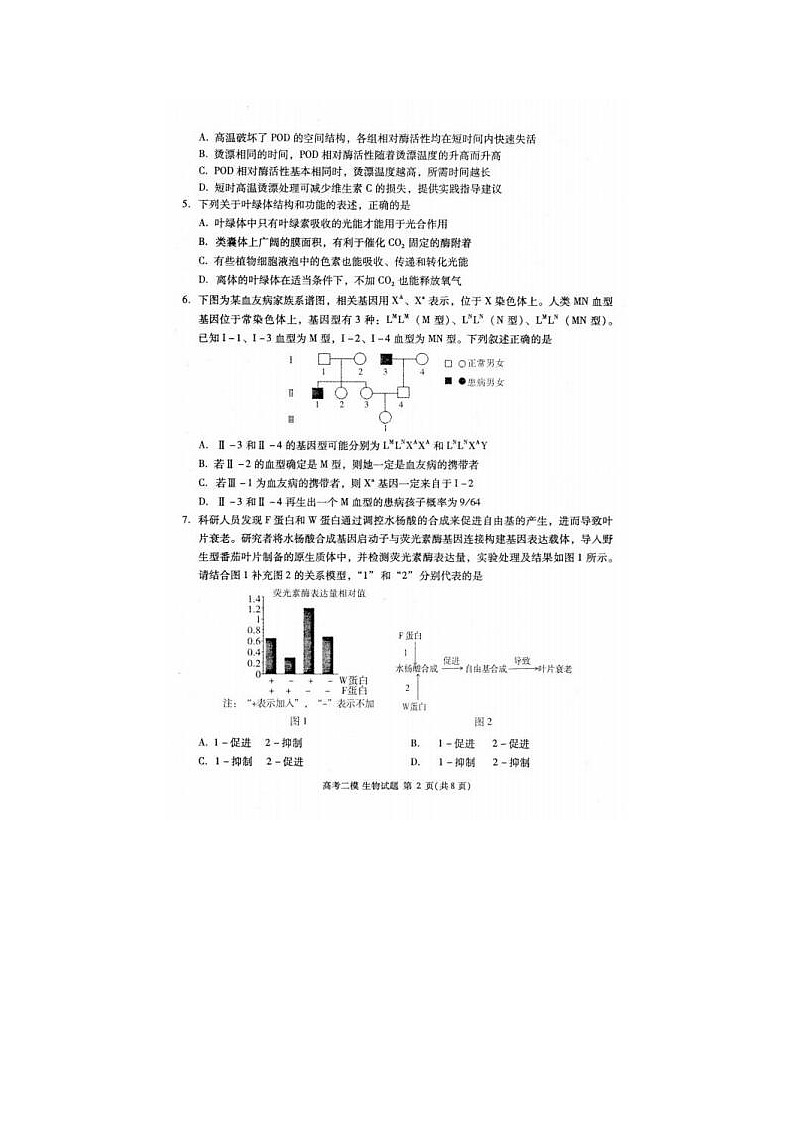 2024届江西省高三九江二模生物试题第2页