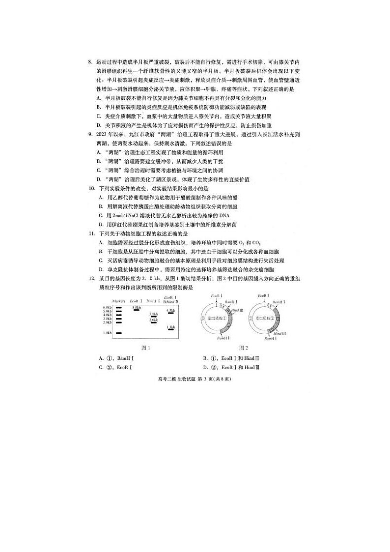 2024届江西省高三九江二模生物试题第3页
