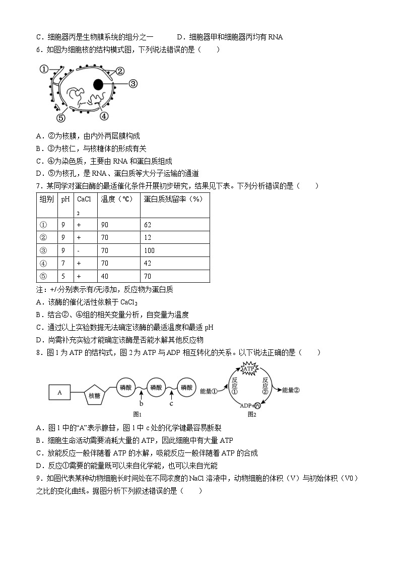 2024浙江省A9协作体高一下学期4月期中生物试题含答案第2页