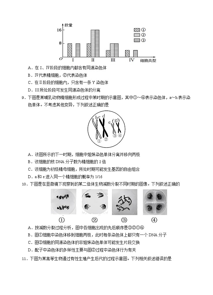 生物高一下学期期中考试第3页