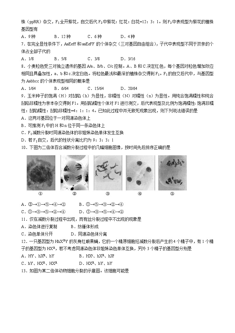北京市北京师范大学附属中学2023-2024学年高一下学期期中考试生物试题(无答案)第2页