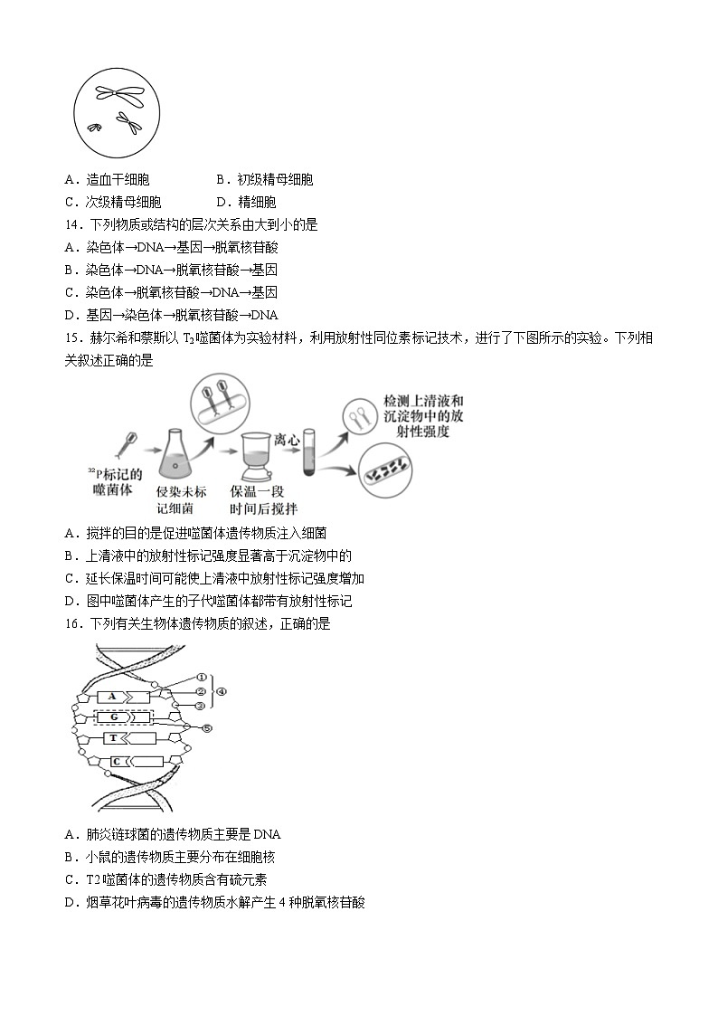 北京市北京师范大学附属中学2023-2024学年高一下学期期中考试生物试题(无答案)第3页