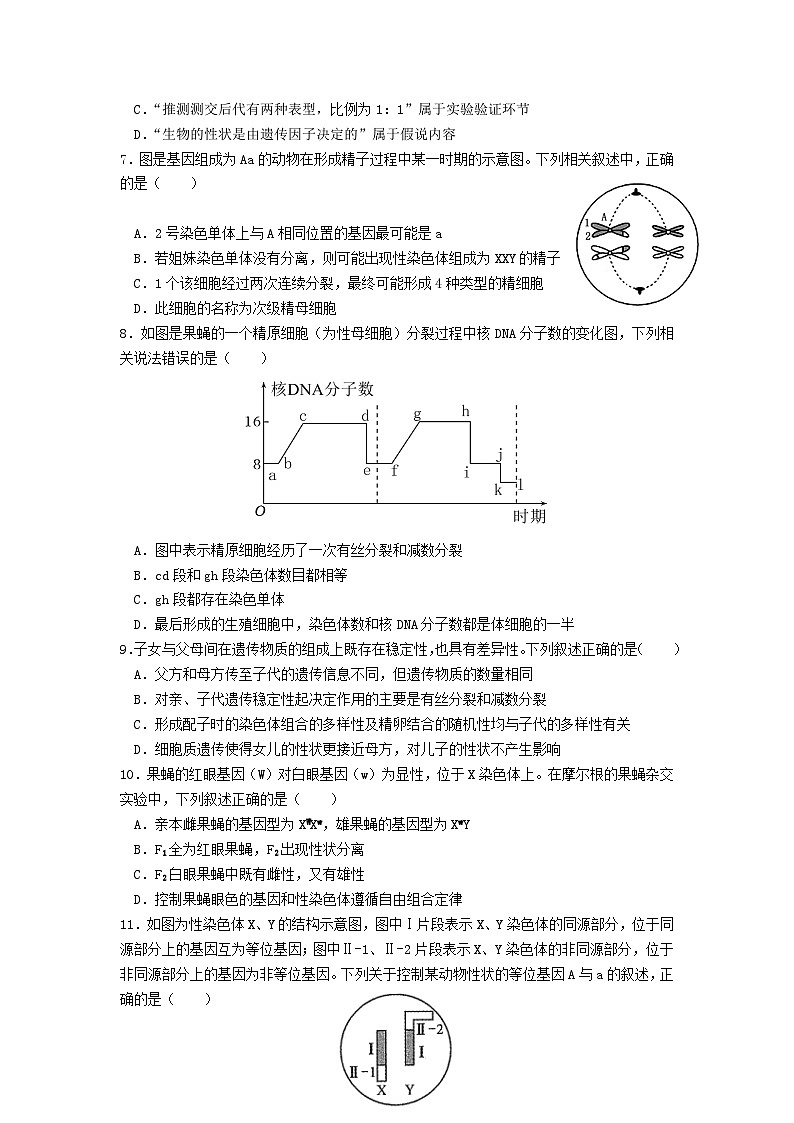 广东省汕头市潮阳黄图盛中学2023-2024学年高一下学期期中考试生物试题第2页