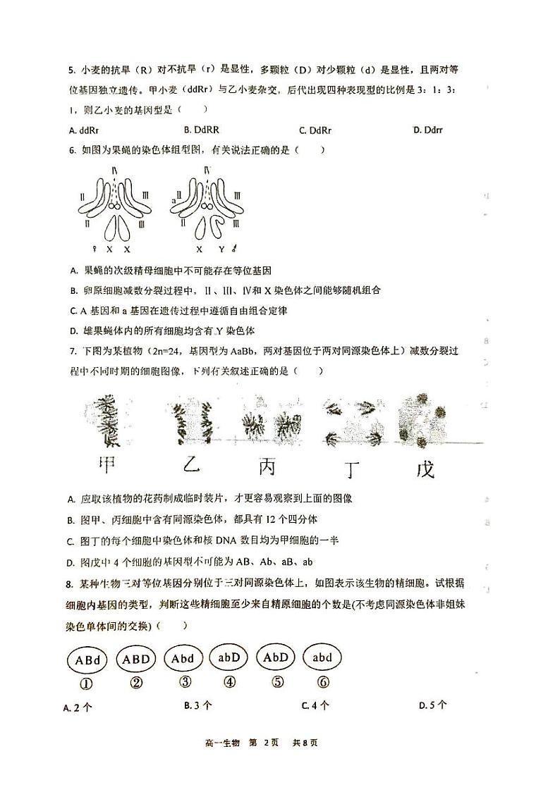 福建省福州市福州第四中学2023-2024学年高一下学期期中考试生物试题第2页