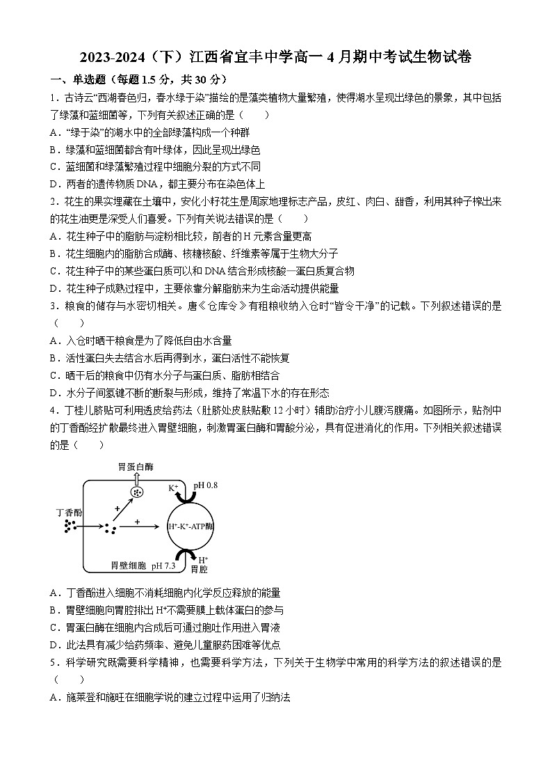 江西省宜春市宜丰县宜丰中学2023-2024学年高一下学期4月期中生物试题01
