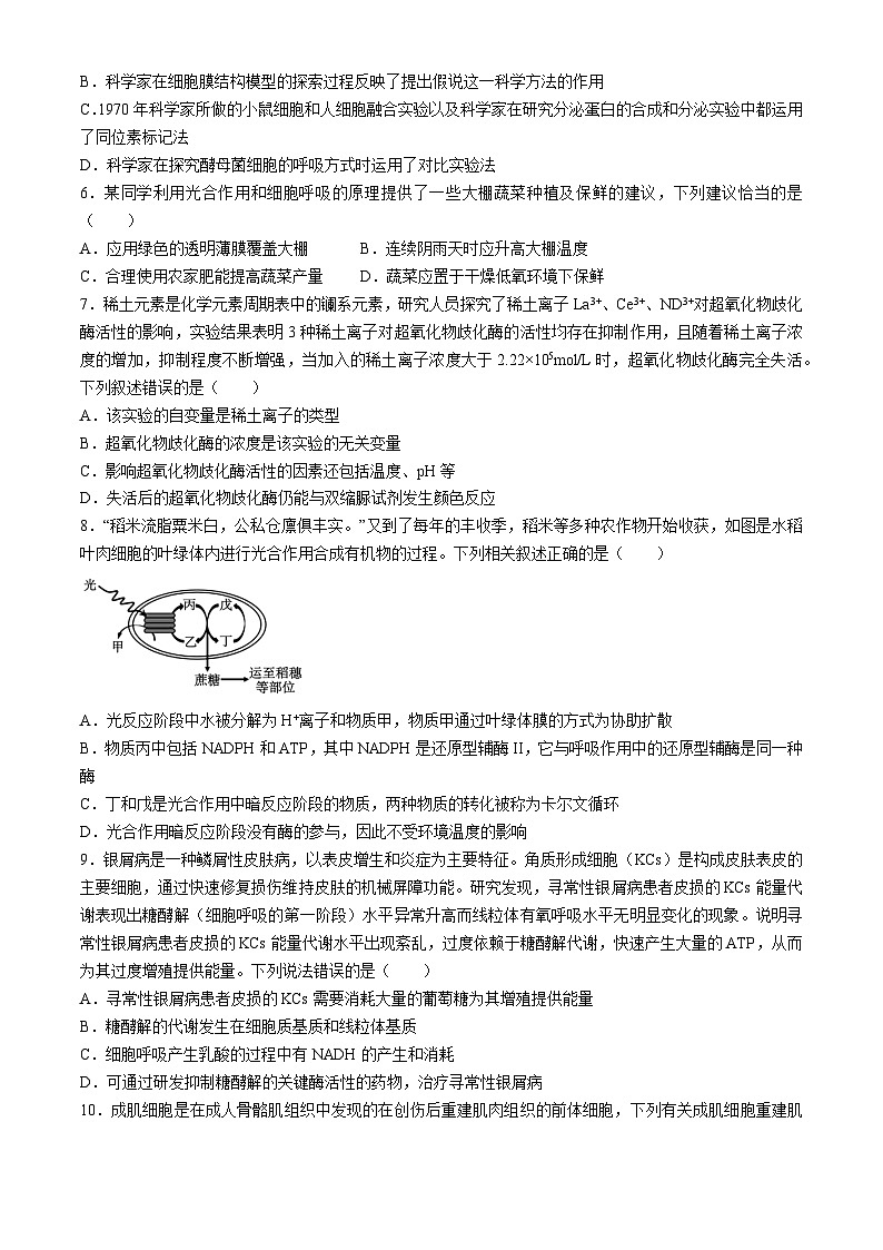 江西省宜春市宜丰县宜丰中学2023-2024学年高一下学期4月期中生物试题02