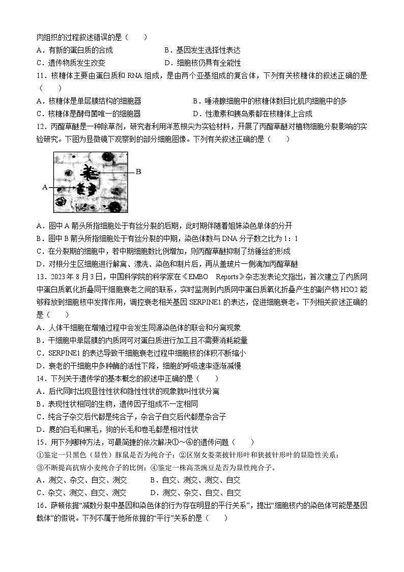 江西省宜春市宜丰县宜丰中学2023-2024学年高一下学期4月期中生物试题03