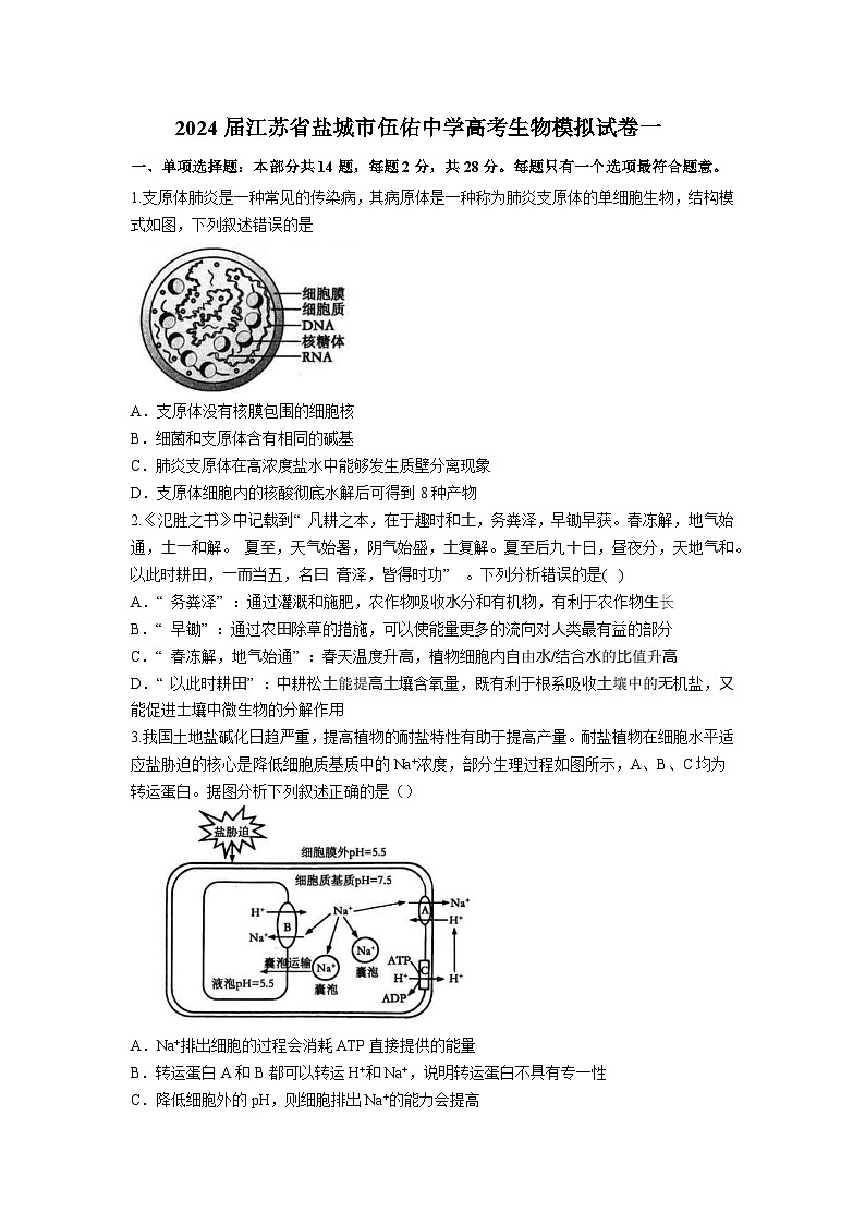 2024届江苏省盐城市伍佑中学高三下学期模拟一生物试题第1页