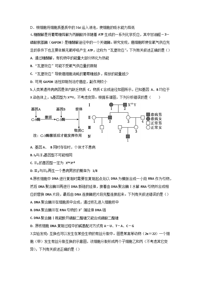2024届江苏省盐城市伍佑中学高三下学期模拟一生物试题第2页