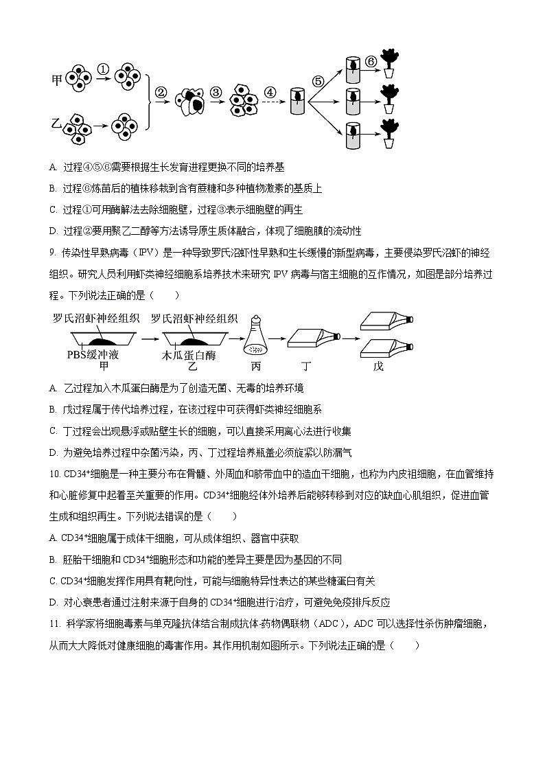 山东省青岛市黄岛区2023-2024学年高二下学期4月期中生物试题(原卷版+解析版)03
