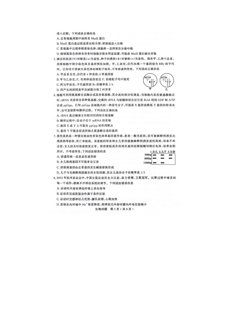 2024届山东省济宁市高三上学期生物期末试题第2页