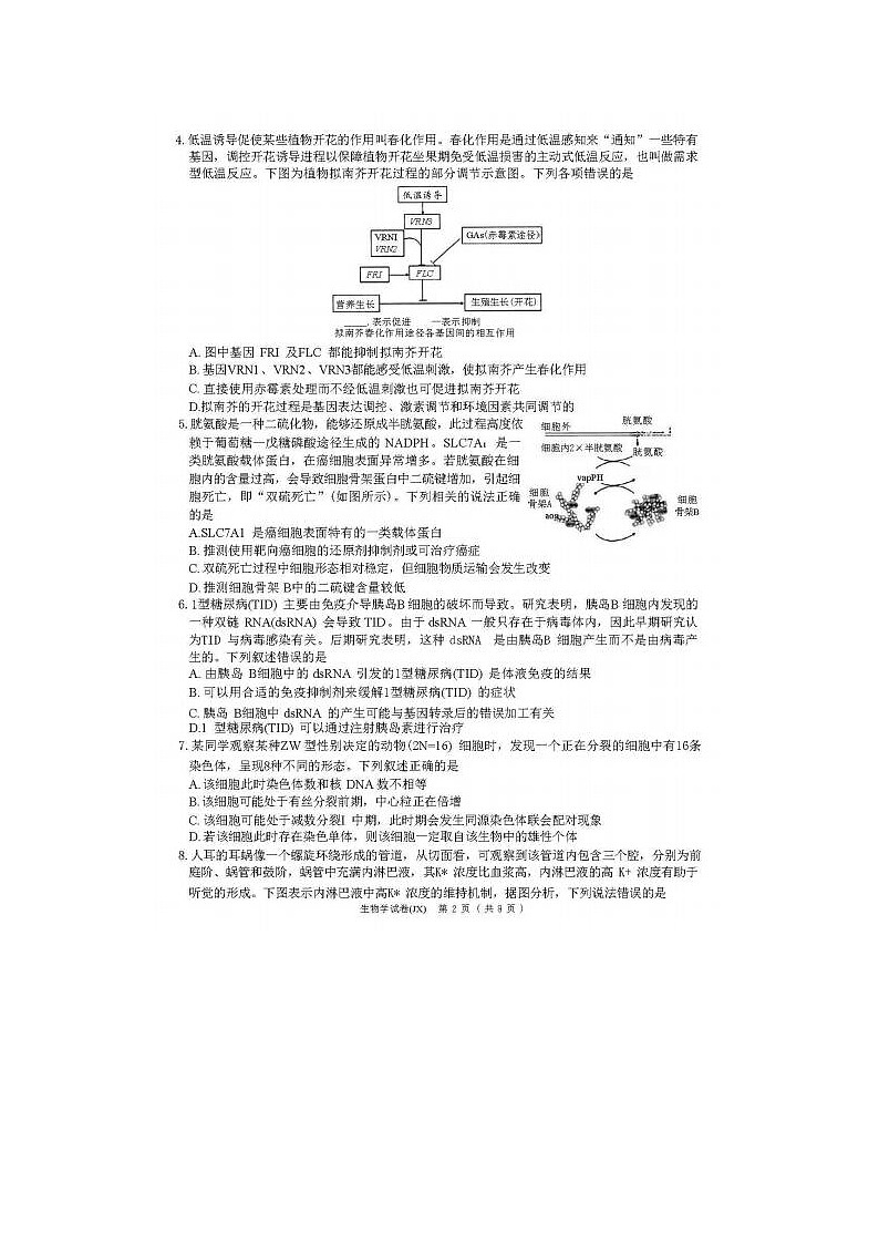 2024届湖南新高考教学教研联盟高三第二次联考生物试题第2页