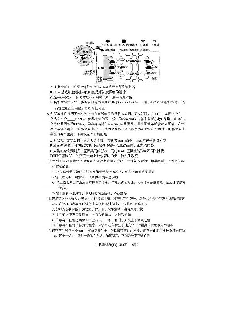 2024届湖南新高考教学教研联盟高三第二次联考生物试题第3页