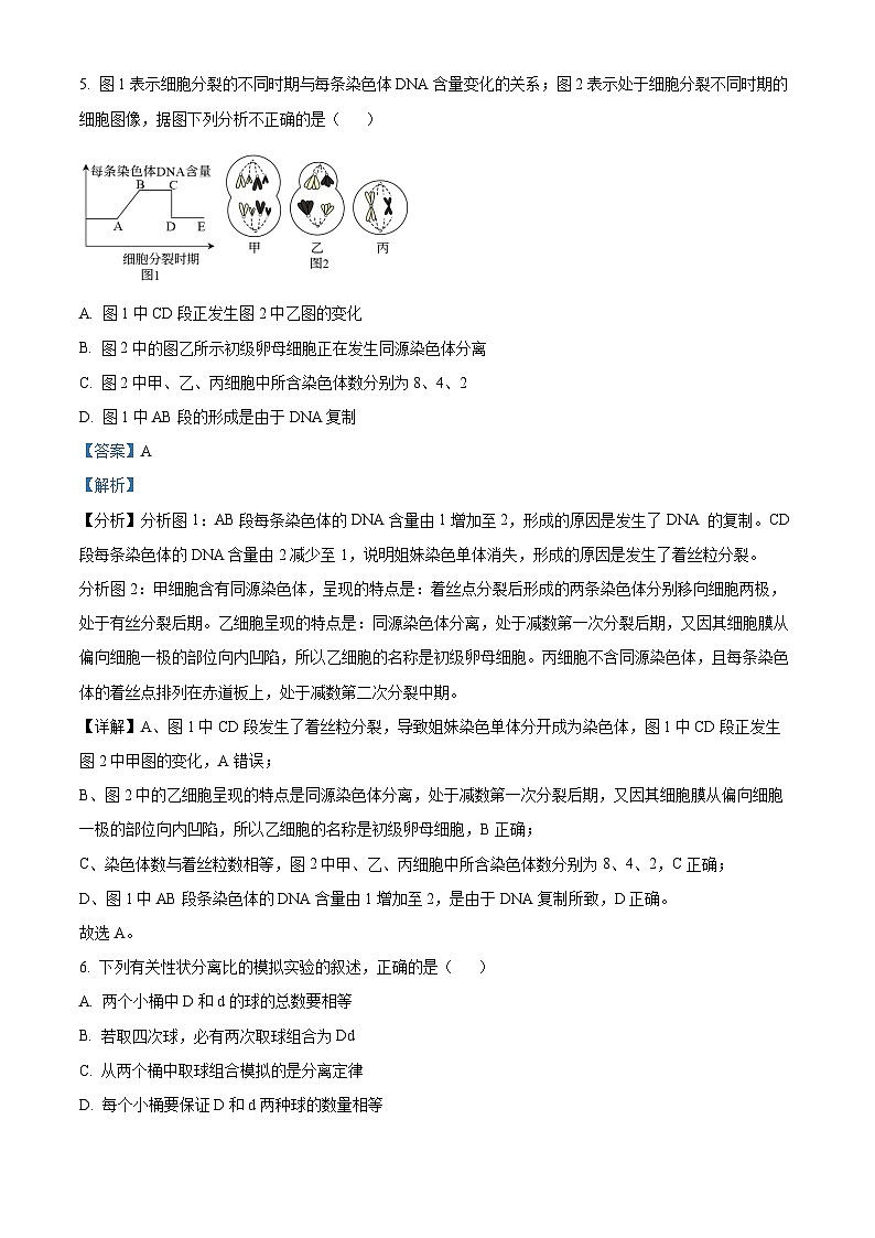 江苏省马坝高级中学2023-2024学年高一下学期期中生物选修试题(解析版)第3页