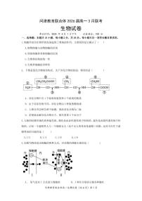 湖北省武汉市问津教育联合体2023-2024学年高一下学期5月月考生物试题
