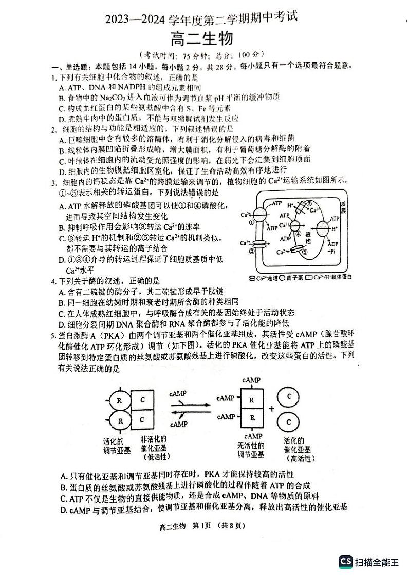 江苏省泰州市靖江市靖江高级中学2023-2024学年高二下学期4月期中生物试题第1页