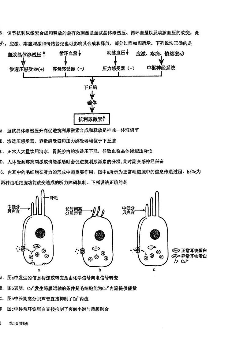 江苏省盐城中学、南京二十九中联考2023-2024学年高二下学期4月期中生物试题02