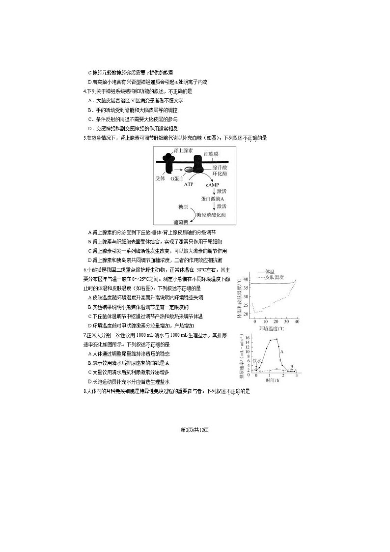 2024届北京东城区高二上学期生物期末试题02