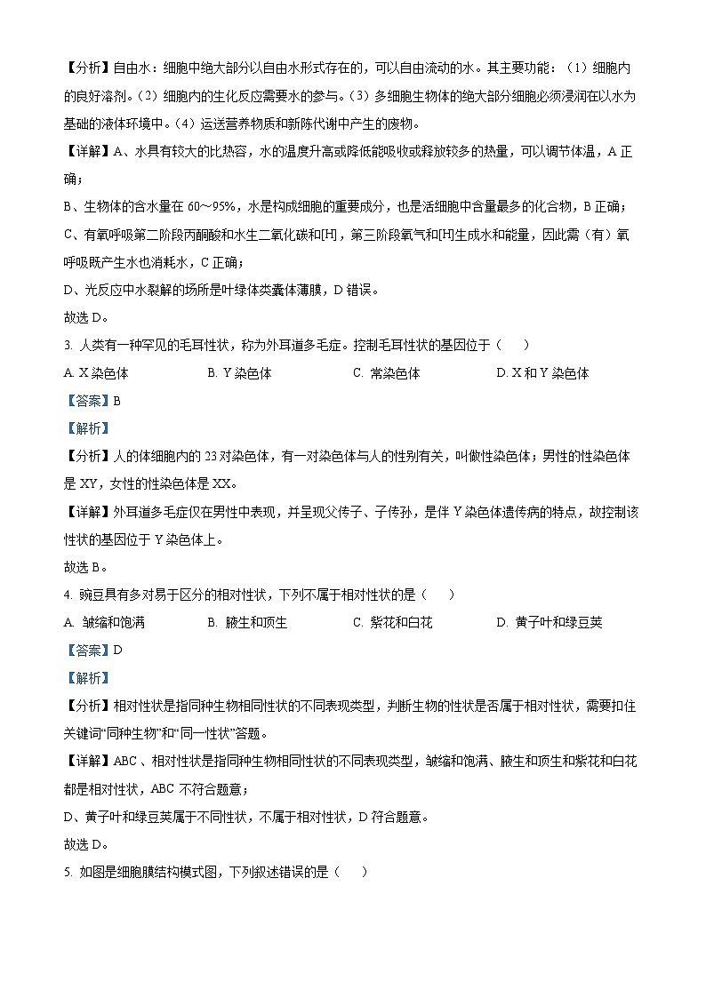 浙江省钱塘联盟2023-2024学年高一下学期4月期中联考生物试题(原卷版+解析版)02