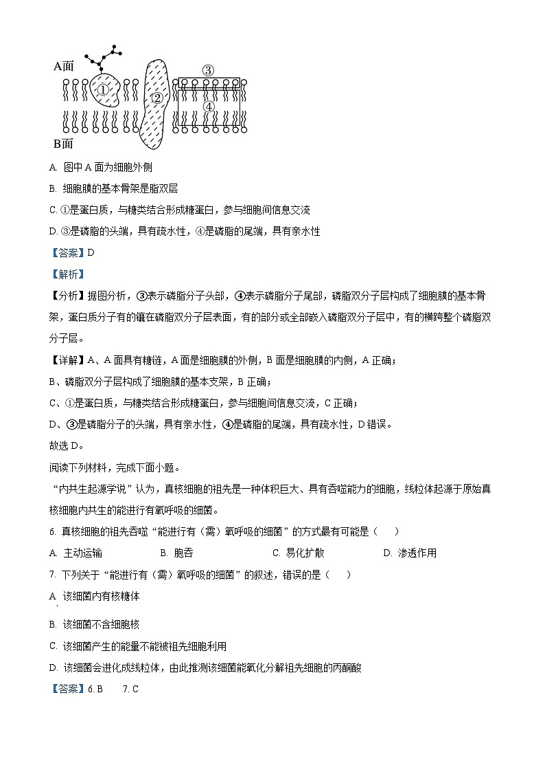浙江省钱塘联盟2023-2024学年高一下学期4月期中联考生物试题(原卷版+解析版)03