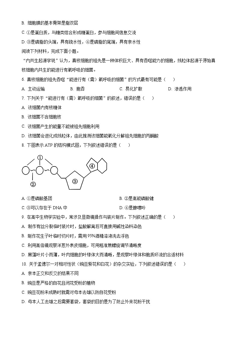 浙江省钱塘联盟2023-2024学年高一下学期4月期中联考生物试题(原卷版+解析版)02