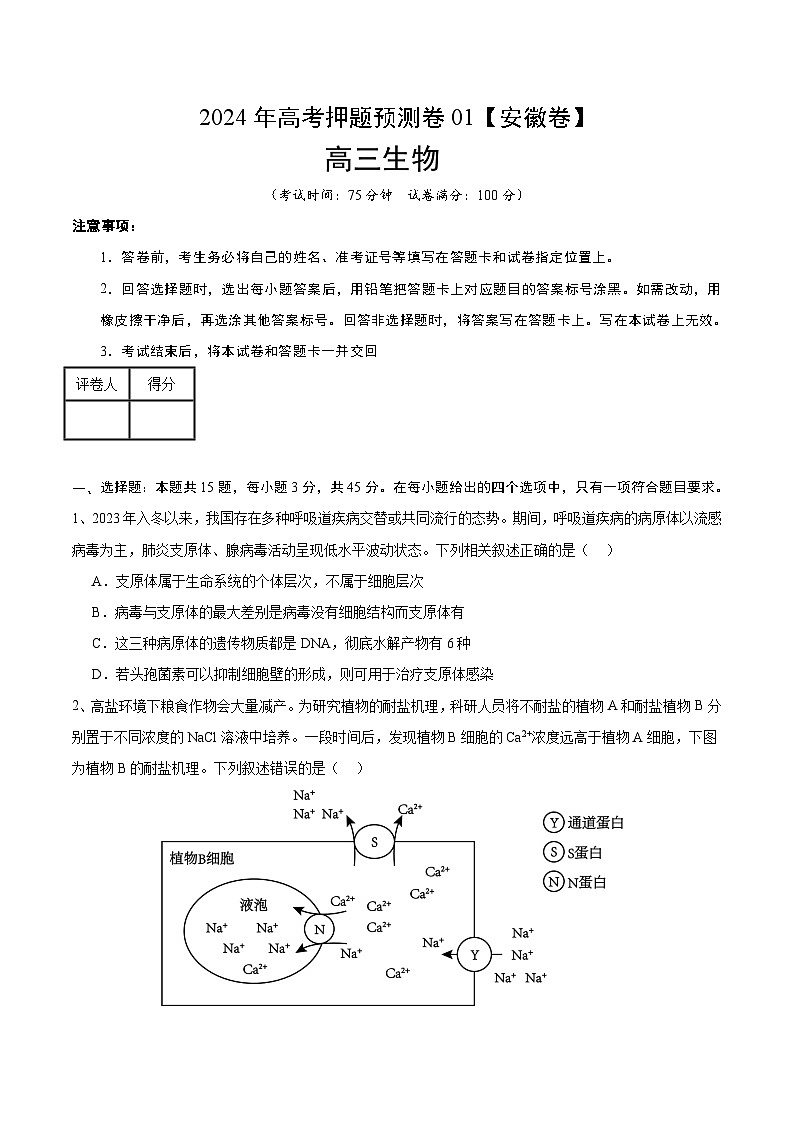 2024年高考押题预测卷—生物(安徽卷01)(考试版)第1页