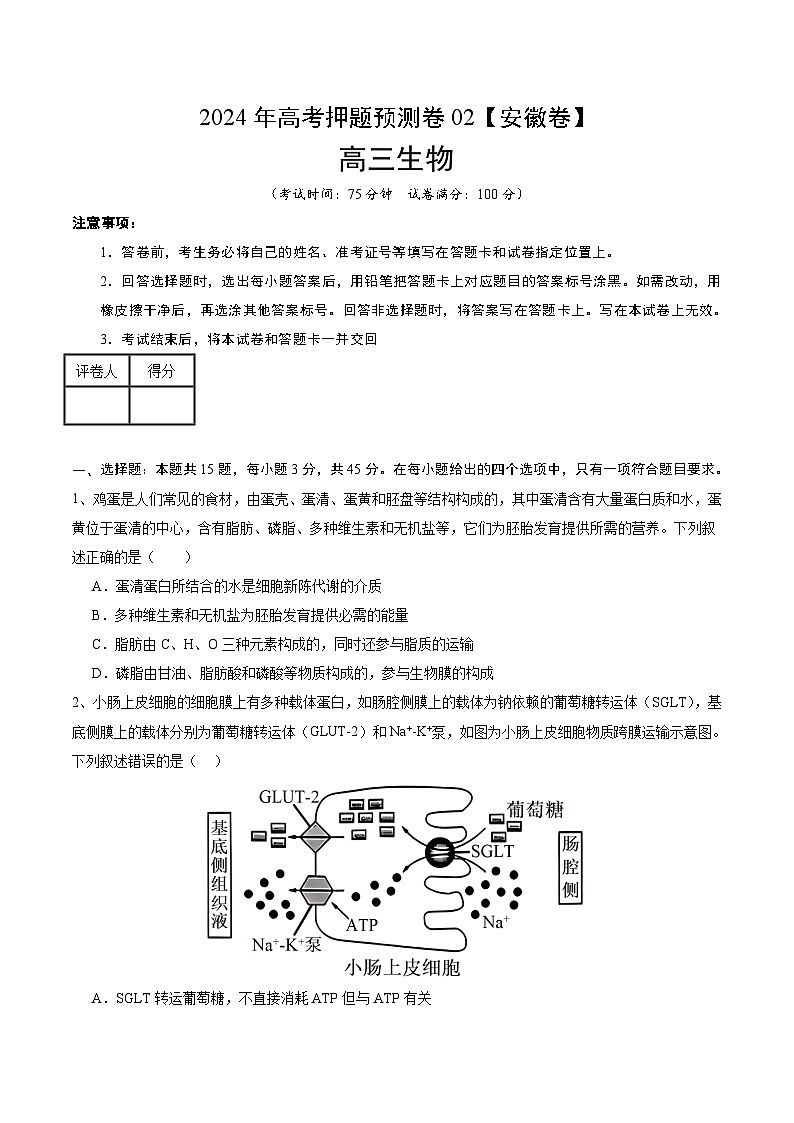 2024年高考押題預(yù)測卷—生物（安徽卷02）（考試版）第1頁