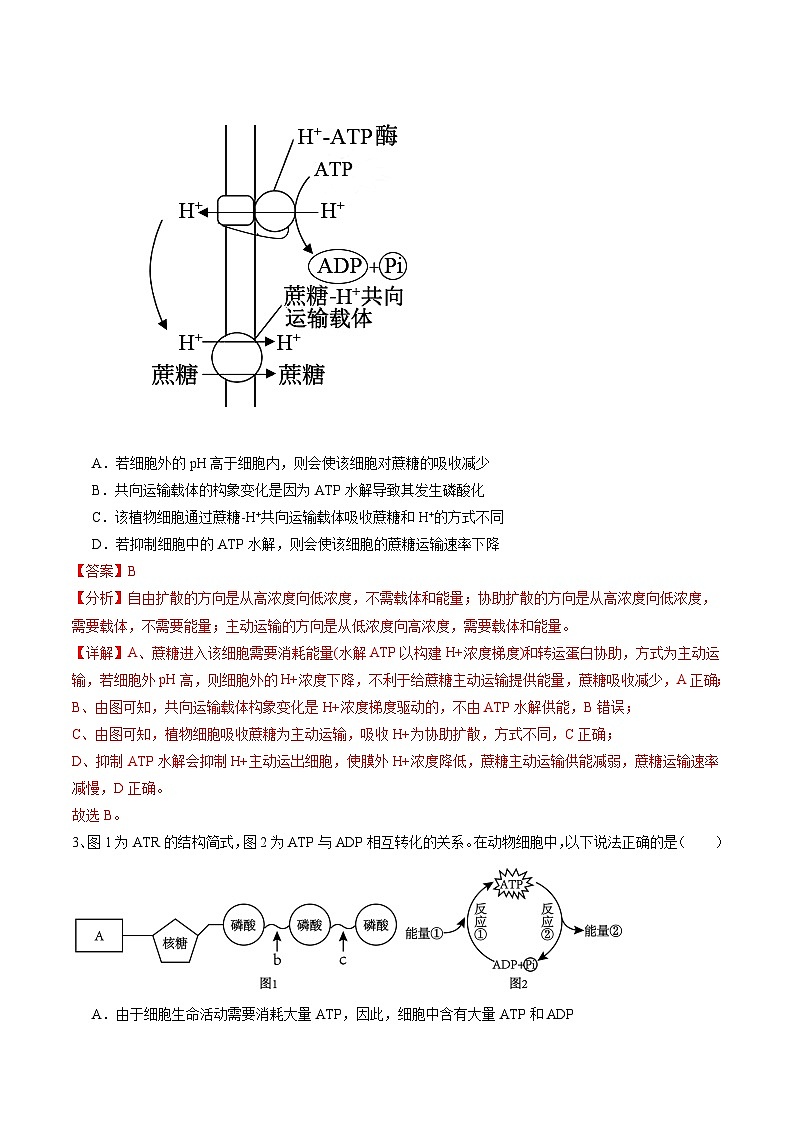 2024年高考押题预测卷—生物(安徽卷03)(全解全析)第2页