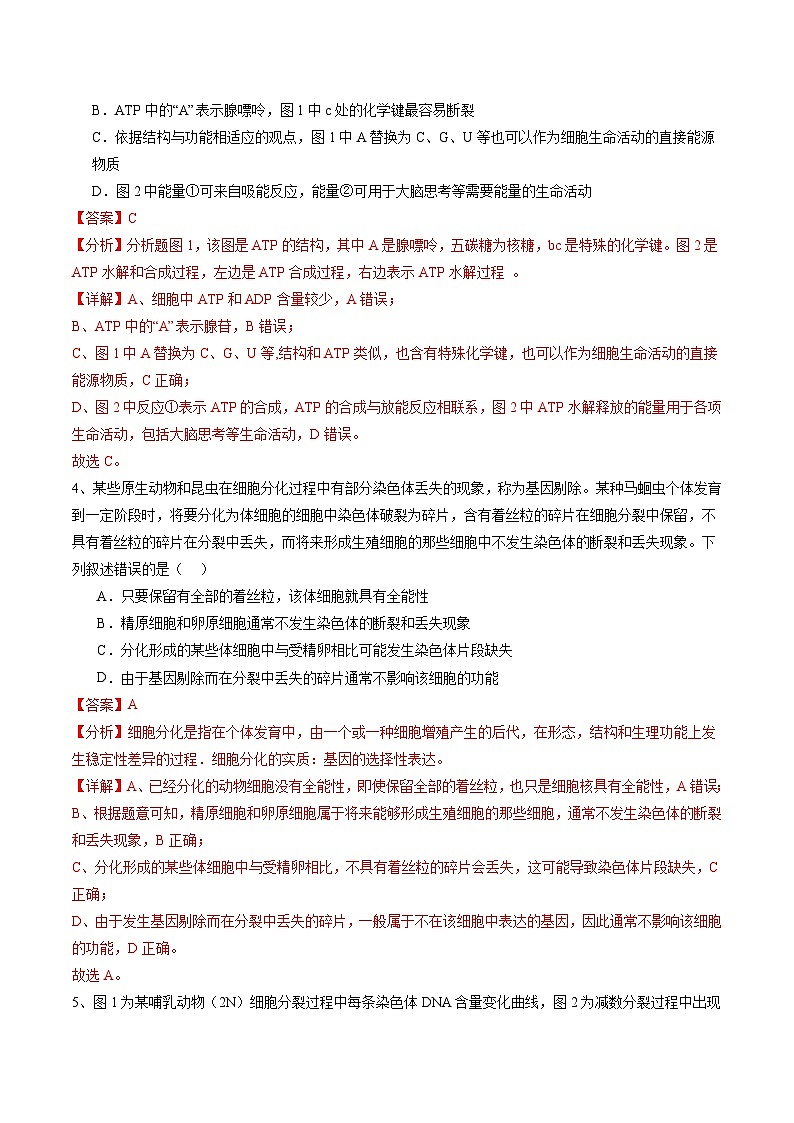 2024年高考押题预测卷—生物(安徽卷03)(全解全析)第3页