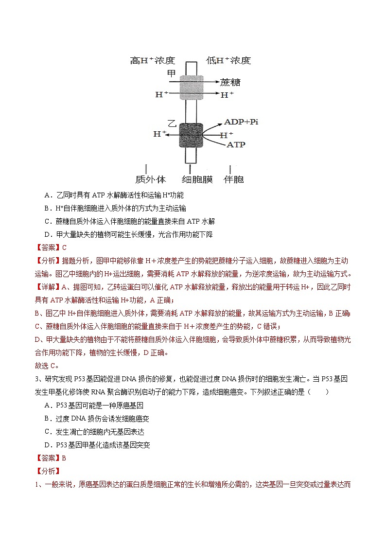 2024年高考押题预测卷—生物(广东卷01)(全解全析)第2页