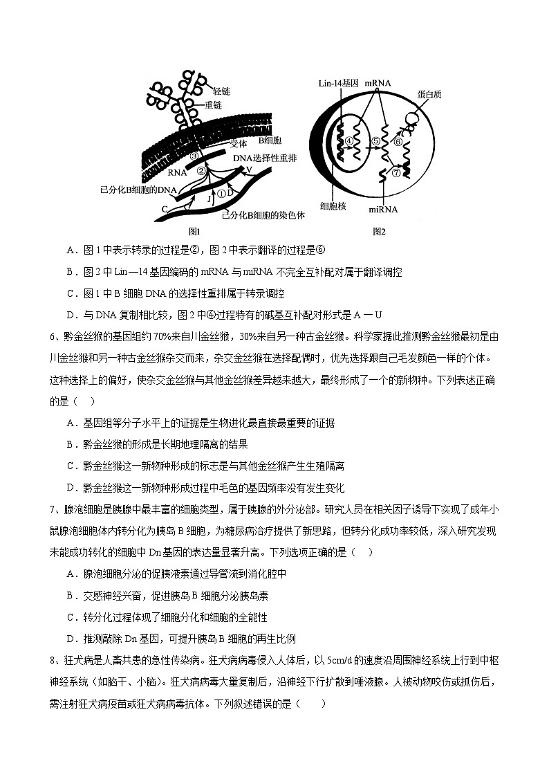 2024年高考押题预测卷—生物(广东卷02)(考试版)第3页