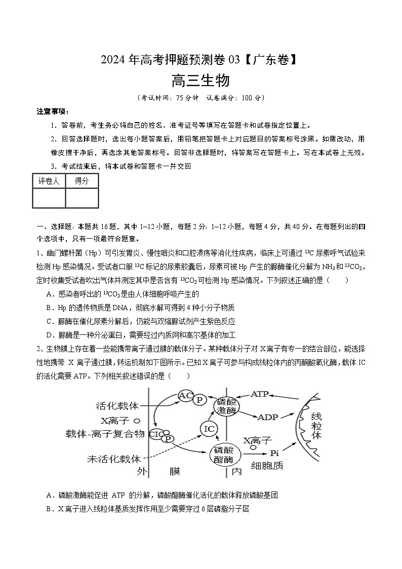2024年高考押题预测卷—生物(广东卷03)(考试版)第1页
