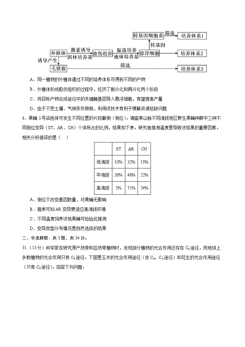 2024年高考押题预测卷—生物(全国卷新教材02)(考试版)第3页